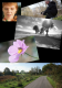 Video og fotografering